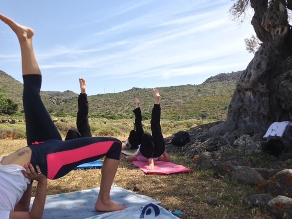 Ημέρα Yoga στον Αρχαίο Ελαιώνα Αίγινας