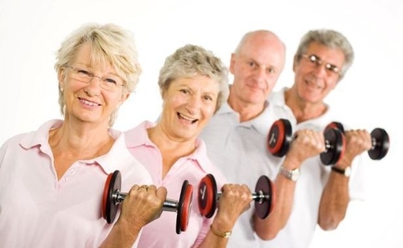 exercise older adults in gym